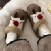 Cozy and Stylish Cotton Slippers for Winter Comfort and Safety at Home
